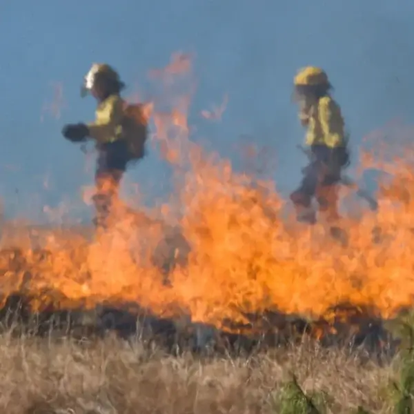 Two firefighters in yellow protective gear and helmets walk through thick smoke and intense flames, showcasing how wildfire technology helps them combat blazes in dry, grassy areas. - Victoria website design